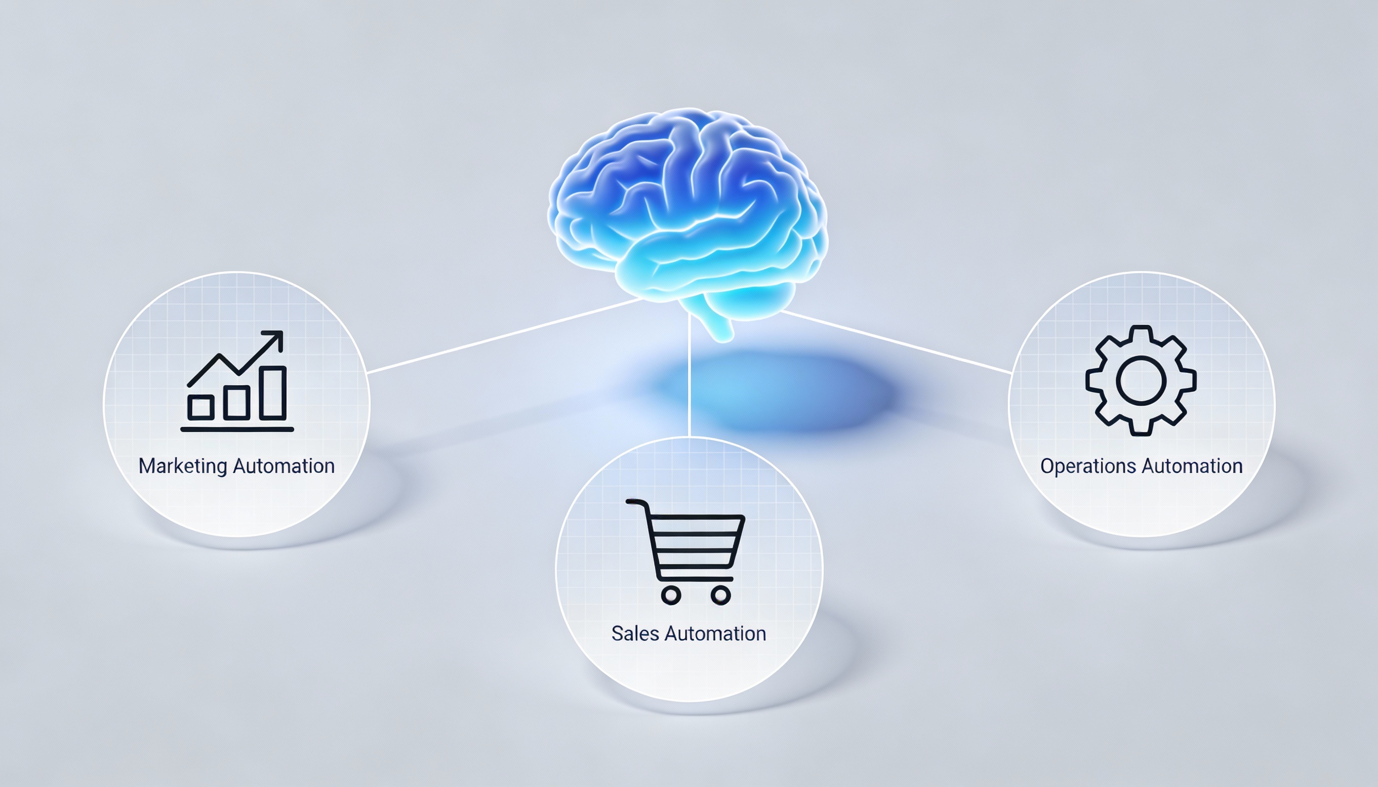 Celebrating Strong Partnerships