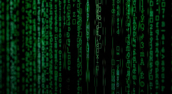 The Birth of Intelligence