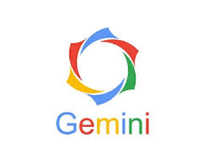 Visionary Gemini